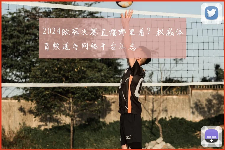 2024欧冠决赛直播哪里看？权威体育频道与网络平台汇总