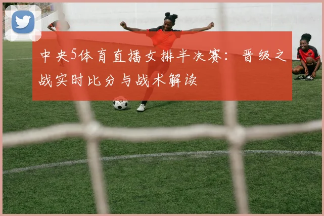 中央5体育直播女排半决赛：晋级之战实时比分与战术解读